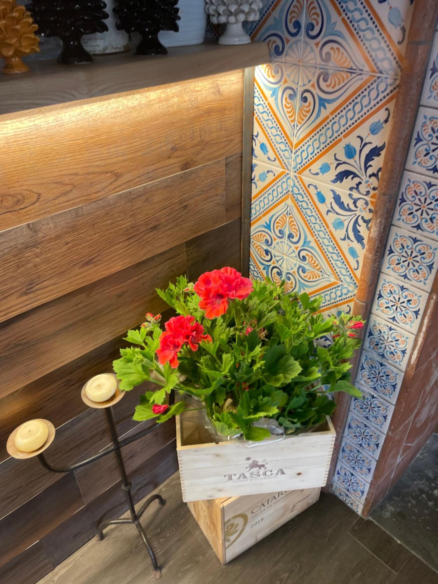Ai Dammusi Rooms San Vito Lo Capo Zewnętrze zdjęcie
