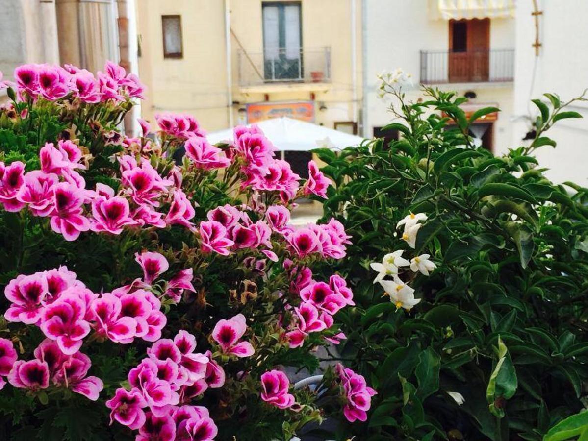 Ai Dammusi Rooms San Vito Lo Capo Zewnętrze zdjęcie